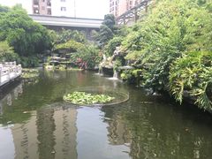 -桃园盛宴·岭南粤菜·手工茶点(南庄店)