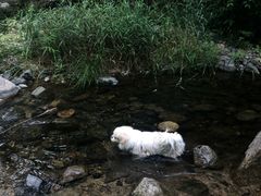 -碓臼峪自然风景区