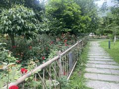 -花溪公园