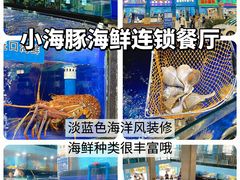 -亚龙湾热带天堂森林公园