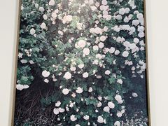 -静之湖湖畔餐厅