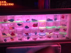 -中环花鸟鱼虫市场