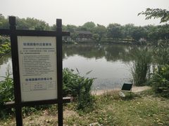 -鹅湖玫瑰文化园