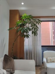 -HEYAN荷妍专业脱毛连锁机构