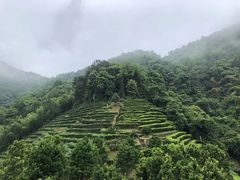 景点-灵光寺