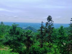 -凤栖山
