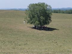 -塞罕坝国家级自然保护区