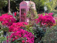 -人民公园(罗湖区)