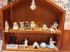 -猫的天空之城概念书店(大学路店)