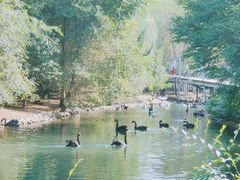 -长白岛森林公园