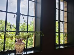 -滇野云南野生菌餐厅(陕西南路店)