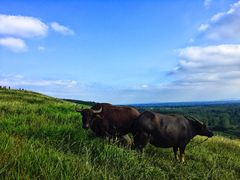 -恋山坝上草原