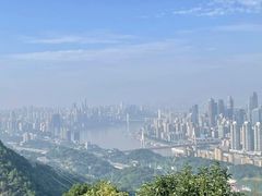 -南山植物园