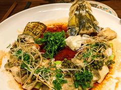 -觅唐MITONG(鸟巢店)