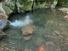 -本溪汤沟绿石谷森林公园