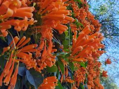 -桃花涧