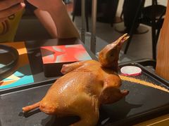 -羽鸽集·乳鸽专门店·地道顺德菜(岭南站店)