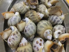 -蚝专家(北滘店)