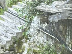 -陕西省红河谷森林公园