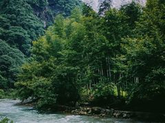-水墨汀溪风景区
