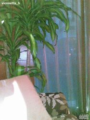 -TIME SPA科技美肤机构