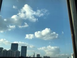 -海豚湾高端月子会所(黄浦店)