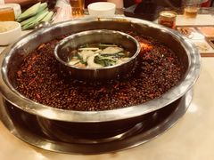 -朱氏胖子烂火锅(洪崖洞店)