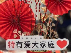 -TESLA 特斯拉(上海太古汇体验店)