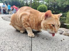 -晓港公园