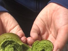 -美丽心情蛋糕(江苏路店)