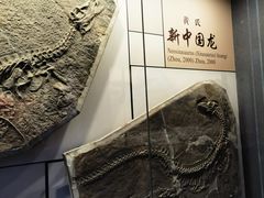 -贵州省地质博物馆