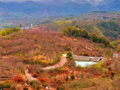 -四明山国家森林公园