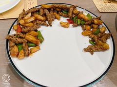 黑椒牛柳脆马蹄-素心小筑(后沙裕镇店)