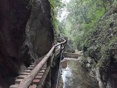 -青城山