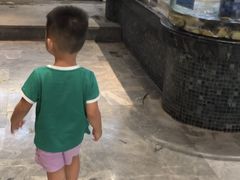 -寻味顺德·珍之宝酒楼(银钻店)
