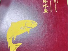 -煲来饱去冷水鱼