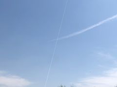 -洨河生态公园