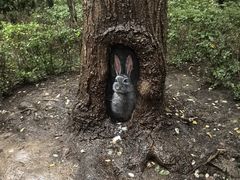-迎泽公园