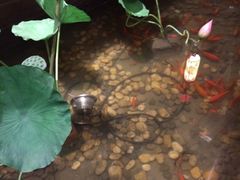 -苏浙徽·江南荟·本味融合菜(相城方圆里店)