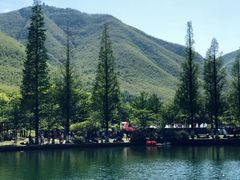 -宜兴龙背山森林公园