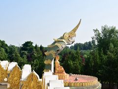 -洛阳白马寺