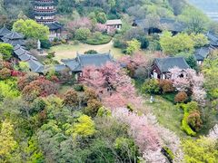 -牛首山文化旅游区