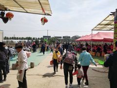 -小鱼草莓采摘园农家乐·小鱼餐厅