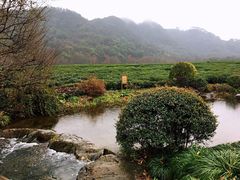-中国茶叶博物馆(双峰馆区)