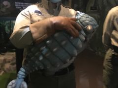 -侏罗纪世界电影特展(广州站)