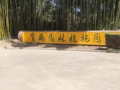 -宝鸡植物园