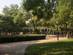 -玲珑塔公园