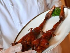 -广州富力君悦大酒店空中花园