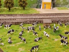 -上海汽车会展中心