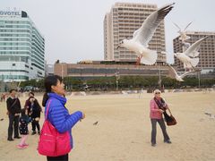 -海云台海滩